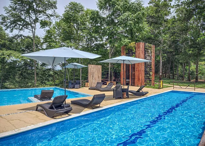 Hotel Madeira Boutique Doradal